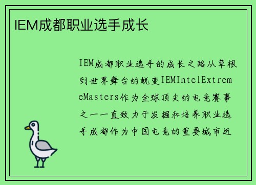 IEM成都职业选手成长