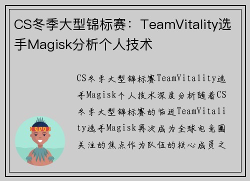CS冬季大型锦标赛：TeamVitality选手Magisk分析个人技术